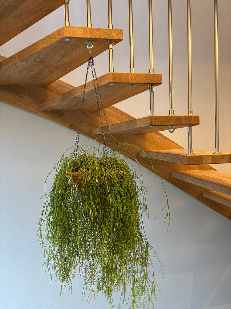 Kundenreferenz DOLLE Bilbao